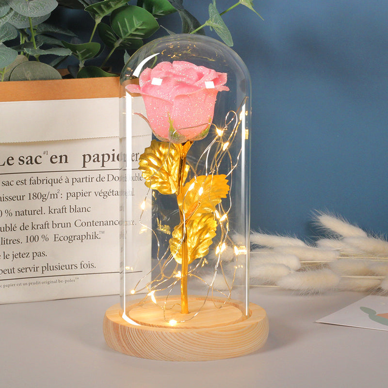 Valentines Day Gift  For Girlfriend Eternal Rose Flowers LED Light In Glass Cover Day